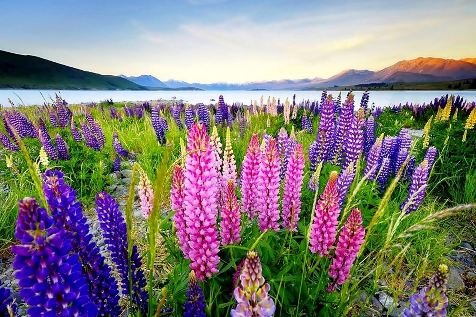 Tekapo1929 Lakefront Villa Lake Tekapo Kültér fotó