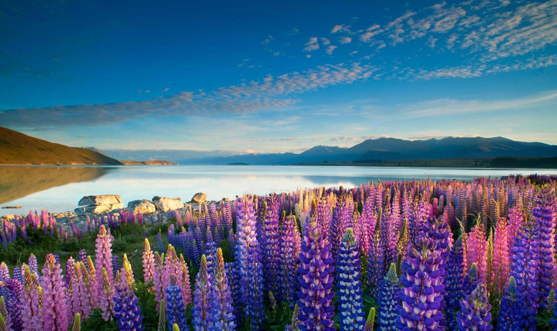 Tekapo1929 Lakefront Villa Lake Tekapo Kültér fotó