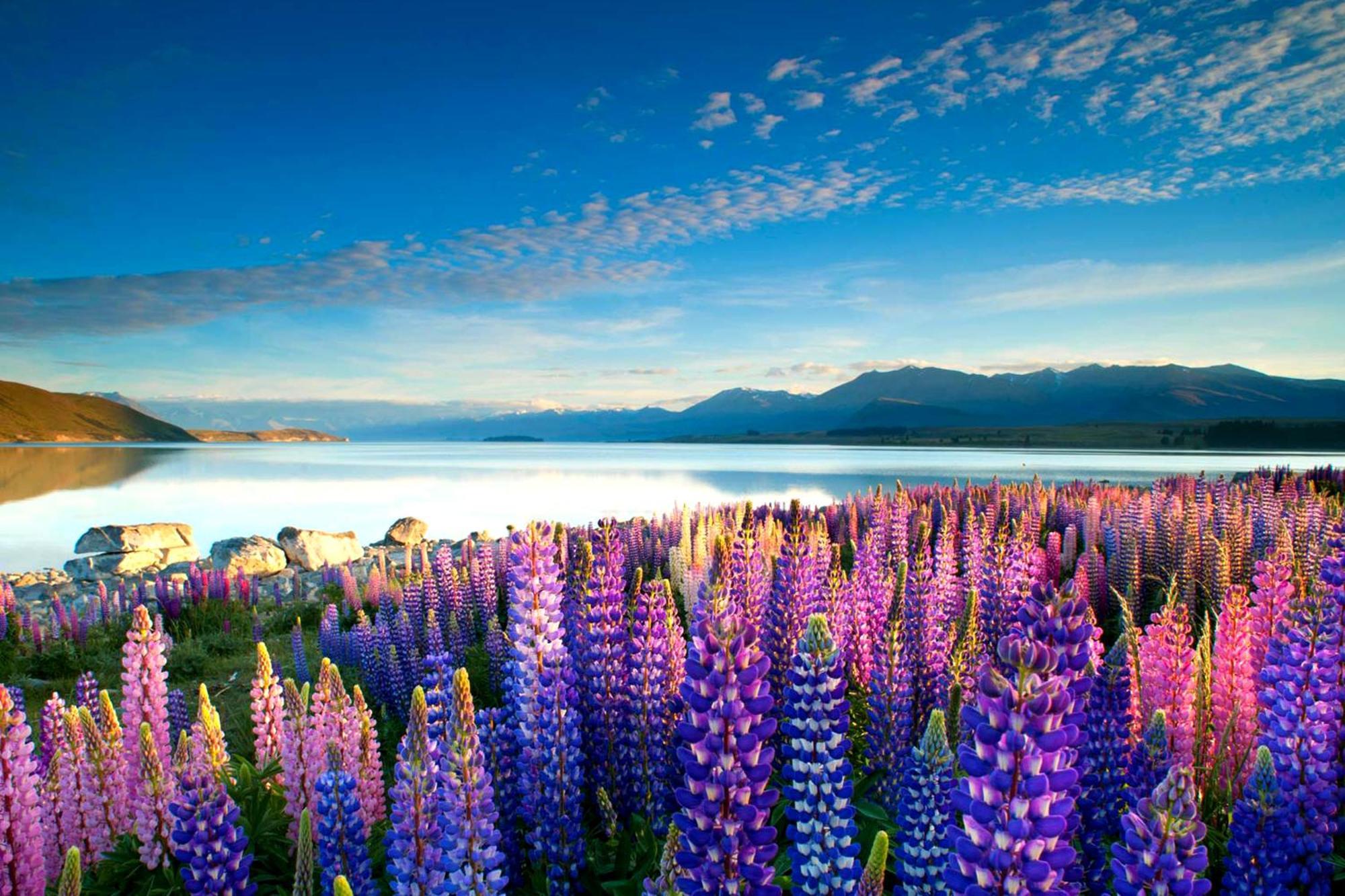 Tekapo1929 Lakefront Villa Lake Tekapo Kültér fotó